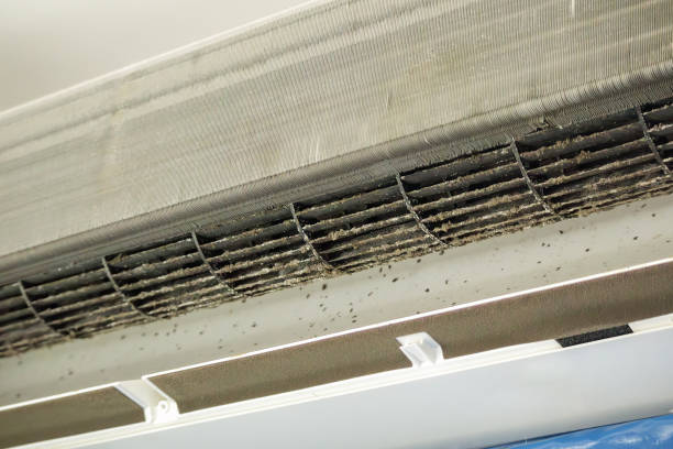 Best Duct Cleaning Specialists  in La Mirada, CA